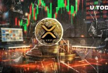 مجتمع XRP يشتعل بسبب منشور Uphold - اكتشف التفاصيل!