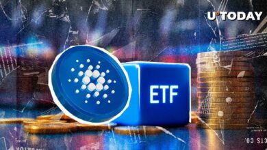 شركة استثمار سويدية تطلق صندوق تداول مؤشر كاردانو (ADA) جديد - اكتشف المزيد!