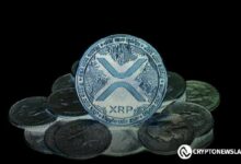 XRP يواجه اضطراباً كبيراً: هل سيتعافى أم سيهبط أكثر؟ اكتشف الآن!