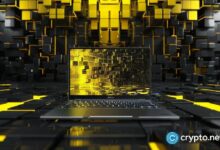 بينانس تحدث معلومات التوكن لزيادة الشفافية - اكتشف التفاصيل الآن!
