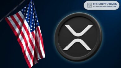 خبير يؤكد: الأنظمة الضرورية جاهزة لاستخدام XRP في المؤسسات المالية عبر الولايات المتحدة - اكتشف المزيد!