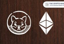 شيبا إينو: ترقية بكترا قد تتيح لمستخدمي إيثريوم دفع رسوم الغاز بعملة SHIB - اكتشف المزيد!