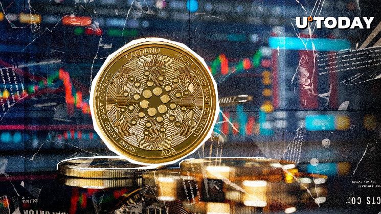 1,323,726,241 ADA في 24 ساعة – ما الذي يحدث؟ اكتشف التفاصيل الآن!