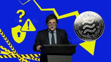 قانون بورويك يقاضي مبتكري عملة "ليبرا" الميمية بسبب إطلاق توكن مضلل