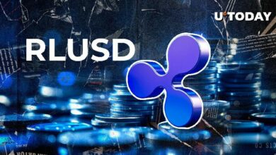 ريبيل تصدر 9.1 مليون RLUSD خلال 24 ساعة ماضية - استعد لاستكشاف التفاصيل!