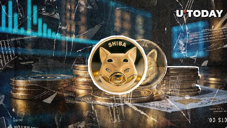 تحذير هام من فريق SHIB: تفاصيل يجب أن تعرفها الآن!