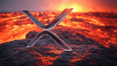 مراقبة سعر XRP: اغتنم الفرصة الآن للشراء مع استهداف ارتفاع السعر إلى $3 وأكثر، ودعم ثابت عند $2.55