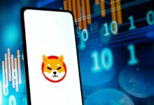 احتياطيات تبادل SHIB تصل إلى أدنى مستوى على الإطلاق: تعرف على الأسباب والتداعيات
