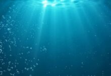 "محفظة Aqua تكشف عن تكاملات قادمة مخصصة لسوق أمريكا اللاتينية – اكتشف التفاصيل الآن!"