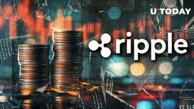 لم يتم إصدار أي عملة Ripple USD (RLUSD) في مارس، اكتشف تأثير ذلك على عملة XRP