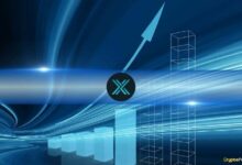 مبيعات NFT على Immutable X و zkEVM ترتفع بنسبة 55% في الربع الرابع من 2024، لكن مشاركة السوق تشهد تراجعًا – اكتشف التفاصيل الآن!