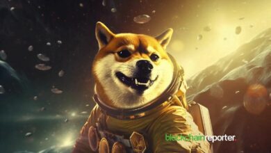 "Dogecoin: إشارات قوية من حاملي العملة وحركات السوق – اكتشف التفاصيل الآن!"
