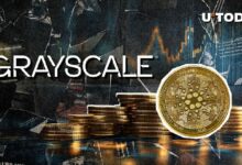 جرايسكيل تُرحب بكاردانو (ADA) في صندوق العقود الذكية - اكتشف التفاصيل الآن!