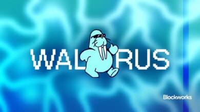 "Walrus من Mysten Labs: كيف يمكن أن يعيد تشكيل عالم الألعاب والتطبيقات اللامركزية؟ اكتشف التفاصيل الآن!"