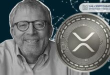 "براندت يصف XRP بـ'صخرة الزينة' ويتوقع انعكاسًا صعوديًا إذا وصل السعر إلى 3 دولارات.. وإلا قد يهوي إلى 1 دولار! اكتشف التفاصيل الآن!"
