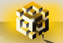 أفضل 3 عملات ميم مرتبطة بـ BNB لمشاهدتها في الأسبوع الأخير من مارس