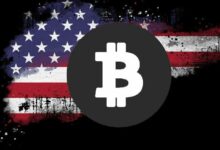 "البيتكوين مجرد صفقة أخرى لوول ستريت – وسيتخلص منها في النهاية كما حدث دائمًا!"