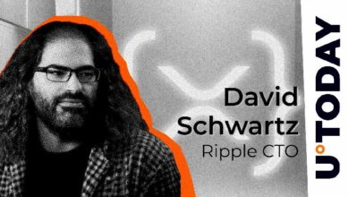 رئيس التقنية في Ripple يدحض انتقادات XRP Ledger: التفاصيل الكاملة
