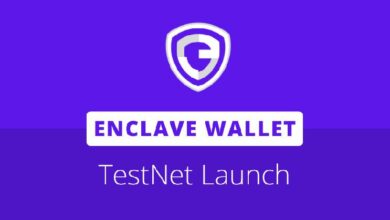 إطلاق محفظة Enclave على N3: أول مشروع لتجريد الحسابات في نظام Neo البيئي - اكتشف المزيد!