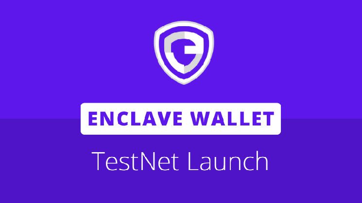 إطلاق محفظة Enclave على N3: أول مشروع لتجريد الحسابات في نظام Neo البيئي - اكتشف المزيد!
