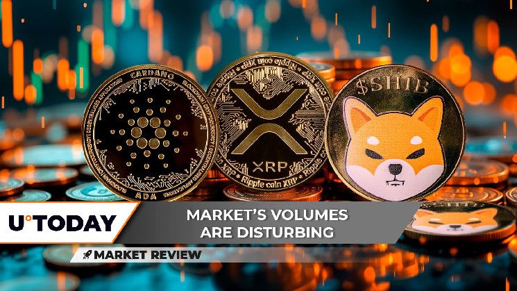 متعبة: ثيران كاردانو (ADA) تستنفد طاقتها، XRP معرض لخسارة 2 دولار بعد هذا، شيبا إينو (SHIB) تدخل في اتجاه صعودي محلي - اكتشف التفاصيل الآن!
