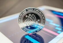 مفاجآت IOTA: مكافآت التحصيص واعتماد العالم الحقيقي تكشف في أحدث AMA - اكتشف المزيد!