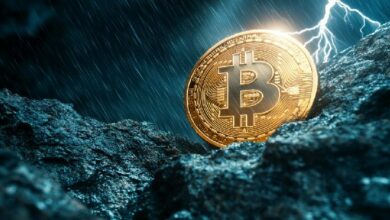 "نشاط تداول البيتكوين يتراجع مع انكماش سيولة السوق وزيادة حذر المستثمرين – اكتشف الأسباب الآن!"