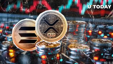 أفضل مرشح لساتوشي يُعلن أن XRP وسولانا في الاحتياطي هما "احتيالات واضحة" - اكتشف الأسباب الآن!