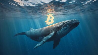 لماذا لا يرتفع سعر البيتكوين؟ هل تستخدم الحيتان هذه الاستراتيجية؟ اكتشف الآن!