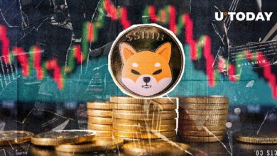 احتراق 20,000,000 SHIB في دقائق – اكتشف التفاصيل الآن!
