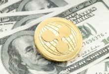 أخبار ريبل اليوم: ارتفاع سعر XRP مدعومًا بانتصار هيئة الأوراق المالية وتكهنات بالطرح العام الأولي – اكتشف التفاصيل الآن!