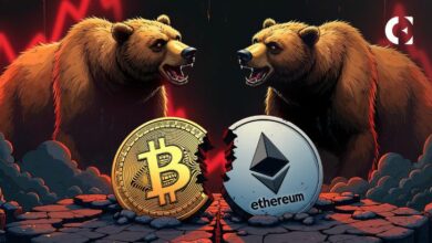 هل يتحقق وعد موسم العملات البديلة؟ مقاومة البيتكوين وانتظار العملات الرقمية بقلق
