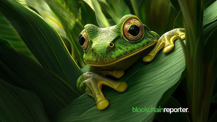 عملية بيع ضخمة لـ PEPE: حوت يتخلص من 389 مليار PEPE بعد تحويل 13 ألف دولار إلى 16 مليون دولار