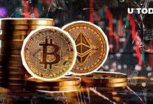 إيثريوم يهوي 74% مقابل البيتكوين؛ هل يشهد السوق انعكاسًا قريبًا؟ اكتشف الآن!