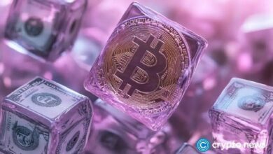 هل كانت عملية البيع القصير للبيتكوين بقيمة 520 مليون دولار على Hyperliquid تمهيدًا لصفقة شراء ضخمة؟ اكتشف التفاصيل الآن!