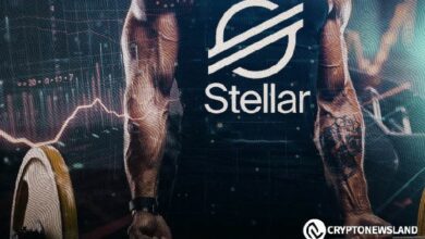 سعر Stellar (XLM) على وشك الارتفاع: هدف جديد بين 0.30 دولار و0.38 دولار – تعرف على التفاصيل الآن!