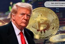 لارا ترامب تدعم البيتكوين في برنامج فوكس بينما يسعى الرئيس لإنشاء احتياطي للعملات الرقمية: تعرف على التفاصيل الآن!