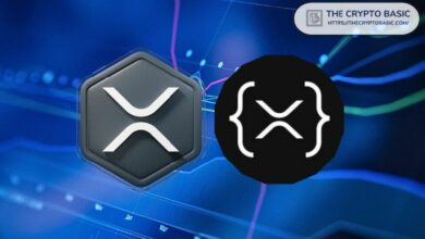 300 ألف XRP في أربع معاملات: خبير يسلط الضوء على أعلى رسوم مدفوعة في سجل XRP على الإطلاق