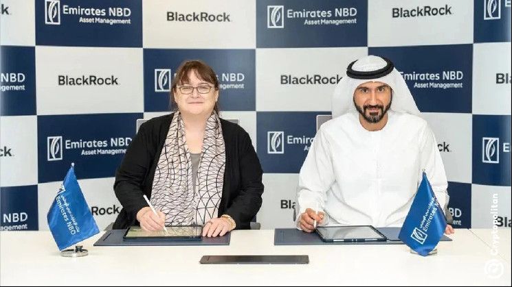 "شراكة بلاكروك الجديدة مع بنك الإمارات دبي الوطني تفتح أبواب الإمارات أمام أسواق الأسهم الخاصة سريعة النمو – اكتشف التفاصيل الآن!"