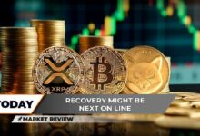 "شيبا إينو (SHIB): هل بدأ الإقلاع؟ XRP يحقق اختراقًا كبيرًا، بيتكوين (BTC): هل 90,000 دولار هي المحطة التالية؟"
