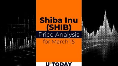 توقع سعر SHIB بحلول 15 مارس: تحليل شامل وماذا تتوقع؟