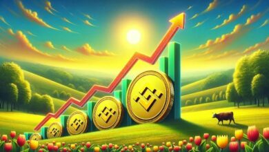 سعر BNB يتطلع للارتفاع: هذه هي المستويات الرئيسية لتحقيق اختراق!