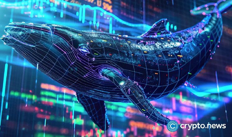 الحيتان تشتري انخفاض الإيثريوم: تراكم 236 مليون دولار من ETH في 72 ساعة – اكتشف التفاصيل الآن!