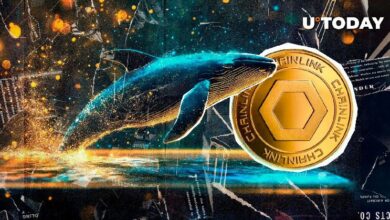 حيتان Chainlink (LINK) تتفجر بنشاط بنسبة 1700%: تفاصيل مثيرة لا تفوتها!