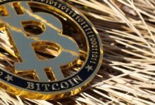 هل يتوقع خبراء وول ستريت صعودًا قويًا للبيتكوين بعد الانخفاضات؟ اكتشف آراء الخبراء الآن!
