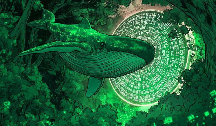 الحيتان تلتهم إيثريوم بقيمة 422,123,359 دولار خلال 24 ساعة فقط، وفقاً لمحلل العملات المشفرة - اكتشف المزيد!