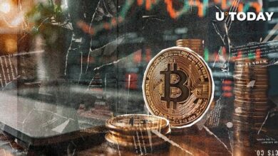 "اختلال تصفية بنسبة 13,520% يصدم البيتكوين (BTC) في عيد الفصح – اكتشف التفاصيل الآن!"