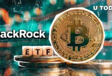 بلاك روك تضيف 455 بيتكوين (BTC) في يوم واحد: التفاصيل الكاملة