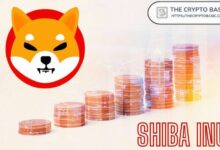 "الحدث الوحيد الذي يحتاجه حاملو Shiba Inu ليصبحوا أثرياء – اكتشف السر الآن!"