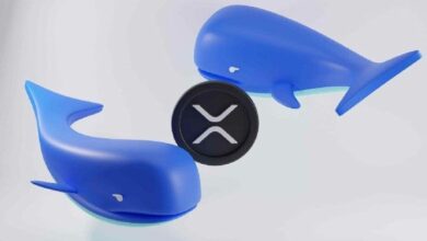 "حوت XRP ينقل أكثر من 60 مليون دولار وسط ضجة صناديق ETFs.. اكتشف التفاصيل الآن!"